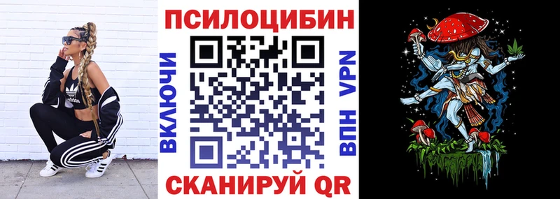 KRAKEN как войти  Чистополь  Галлюциногенные грибы Psilocybine cubensis 